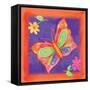 Butterfly Colors 01-Maria Trad-Framed Stretched Canvas