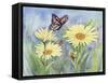 Butterfly Daisy-Tracy Miller-Framed Stretched Canvas