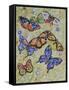 Butterfly Dance-Charlsie Kelly-Framed Stretched Canvas
