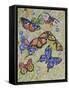 Butterfly Dance-Charlsie Kelly-Framed Stretched Canvas