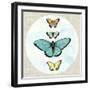 Butterfly Daydream I-Naomi McCavitt-Framed Art Print