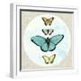 Butterfly Daydream I-Naomi McCavitt-Framed Art Print