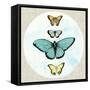 Butterfly Daydream I-Naomi McCavitt-Framed Stretched Canvas