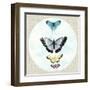 Butterfly Daydream II-Naomi McCavitt-Framed Art Print