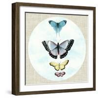 Butterfly Daydream II-Naomi McCavitt-Framed Art Print