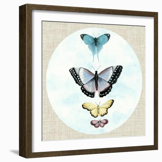 Butterfly Daydream II-Naomi McCavitt-Framed Art Print