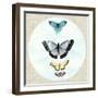 Butterfly Daydream II-Naomi McCavitt-Framed Art Print