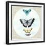 Butterfly Daydream II-Naomi McCavitt-Framed Art Print