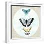 Butterfly Daydream II-Naomi McCavitt-Framed Art Print