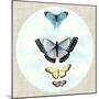 Butterfly Daydream II-Naomi McCavitt-Mounted Art Print