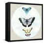 Butterfly Daydream II-Naomi McCavitt-Framed Stretched Canvas