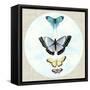 Butterfly Daydream II-Naomi McCavitt-Framed Stretched Canvas