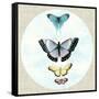 Butterfly Daydream II-Naomi McCavitt-Framed Stretched Canvas