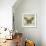 Butterfly Daydreams-A-Jean Plout-Framed Giclee Print displayed on a wall