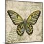 Butterfly Daydreams-A-Jean Plout-Mounted Giclee Print