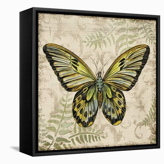 Butterfly Daydreams-A-Jean Plout-Framed Stretched Canvas