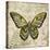 Butterfly Daydreams-A-Jean Plout-Stretched Canvas