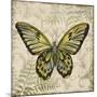 Butterfly Daydreams-A-Jean Plout-Mounted Giclee Print