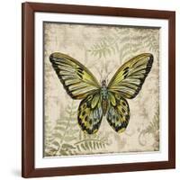 Butterfly Daydreams-A-Jean Plout-Framed Giclee Print