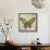 Butterfly Daydreams-A-Jean Plout-Framed Stretched Canvas displayed on a wall