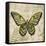 Butterfly Daydreams-A-Jean Plout-Framed Stretched Canvas