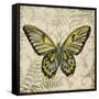 Butterfly Daydreams-A-Jean Plout-Framed Stretched Canvas