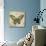 Butterfly Daydreams-A-Jean Plout-Stretched Canvas displayed on a wall