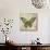 Butterfly Daydreams-A-Jean Plout-Stretched Canvas displayed on a wall