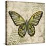 Butterfly Daydreams-A-Jean Plout-Stretched Canvas