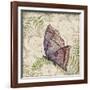 Butterfly Daydreams-B-Jean Plout-Framed Giclee Print