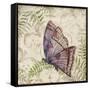 Butterfly Daydreams-B-Jean Plout-Framed Stretched Canvas