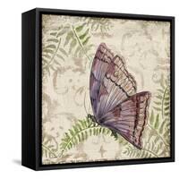 Butterfly Daydreams-B-Jean Plout-Framed Stretched Canvas