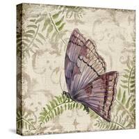 Butterfly Daydreams-B-Jean Plout-Stretched Canvas