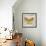 Butterfly Daydreams-C-Jean Plout-Framed Giclee Print displayed on a wall