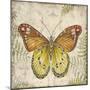 Butterfly Daydreams-C-Jean Plout-Mounted Giclee Print