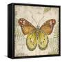 Butterfly Daydreams-C-Jean Plout-Framed Stretched Canvas