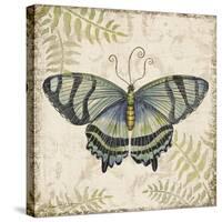 Butterfly Daydreams-D-Jean Plout-Stretched Canvas