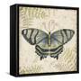 Butterfly Daydreams-D-Jean Plout-Framed Stretched Canvas