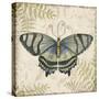 Butterfly Daydreams-D-Jean Plout-Stretched Canvas