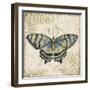 Butterfly Daydreams-D-Jean Plout-Framed Giclee Print