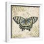 Butterfly Daydreams-D-Jean Plout-Framed Giclee Print