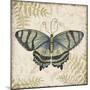 Butterfly Daydreams-D-Jean Plout-Mounted Giclee Print