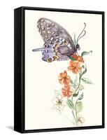 Butterfly Design 1-Judy Mastrangelo-Framed Stretched Canvas