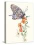 Butterfly Design 1-Judy Mastrangelo-Stretched Canvas
