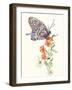 Butterfly Design 1-Judy Mastrangelo-Framed Giclee Print