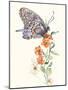 Butterfly Design 1-Judy Mastrangelo-Mounted Giclee Print