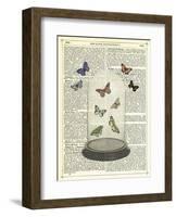 Butterfly Dome-Marion Mcconaghie-Framed Art Print