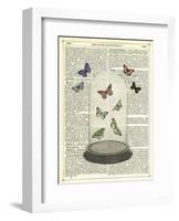 Butterfly Dome-Marion Mcconaghie-Framed Art Print