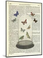 Butterfly Dome-Marion Mcconaghie-Mounted Art Print
