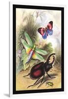 Butterfly, Dragonfly, and Beetles-James Duncan-Framed Art Print